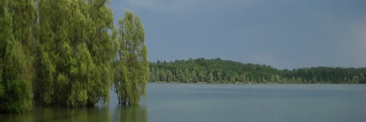 Image Rencontre femme cougar Aube