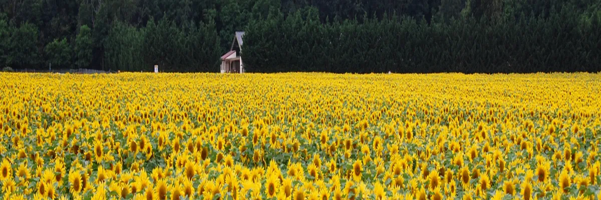 Image Rencontre femme cougar Centre-Val de Loire