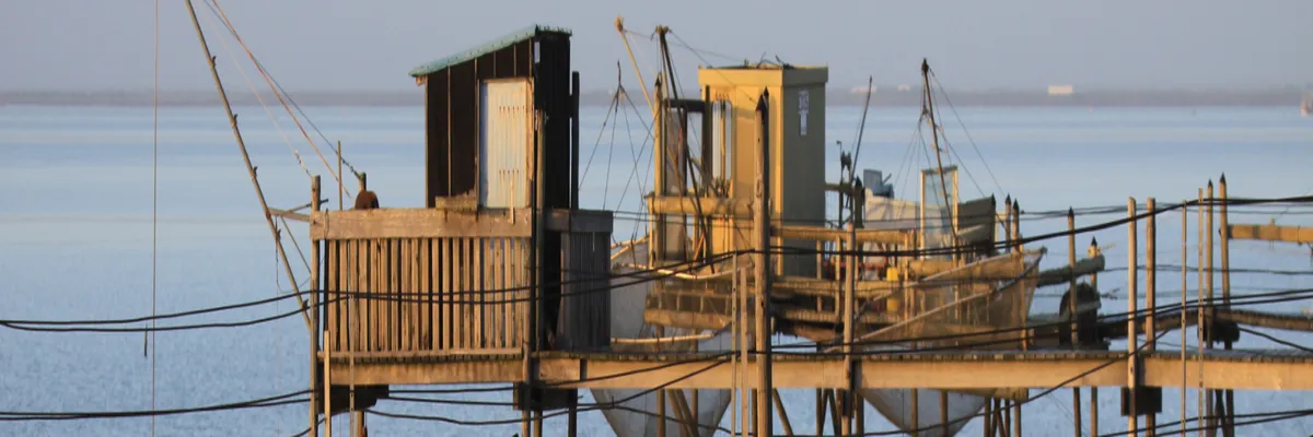 Image Rencontre femme cougar Charente-Maritime