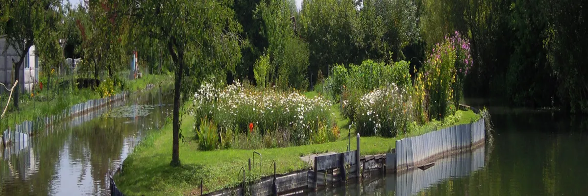 Image Rencontre femme cougar Cher