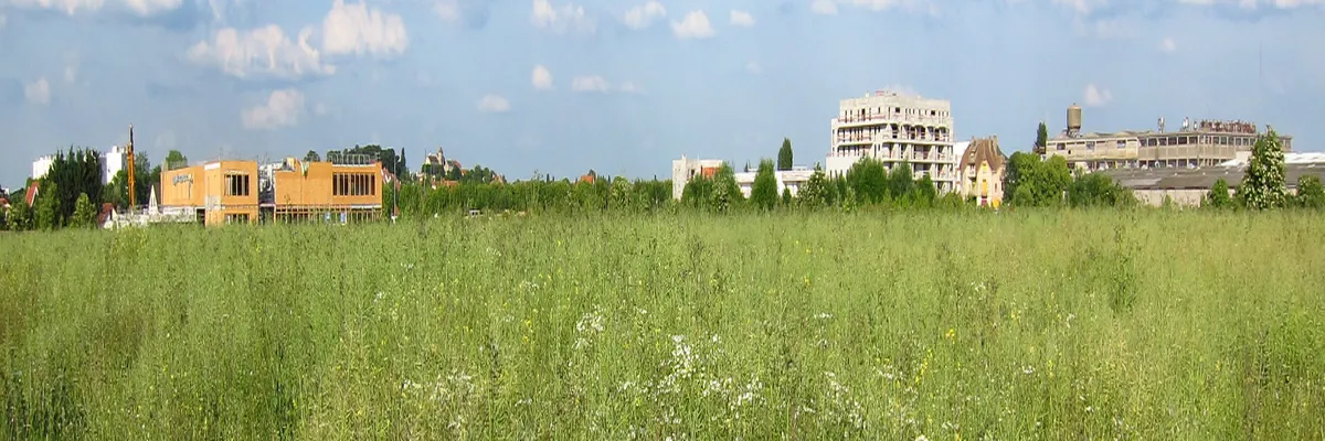 Image Rencontre femme cougar Essonne