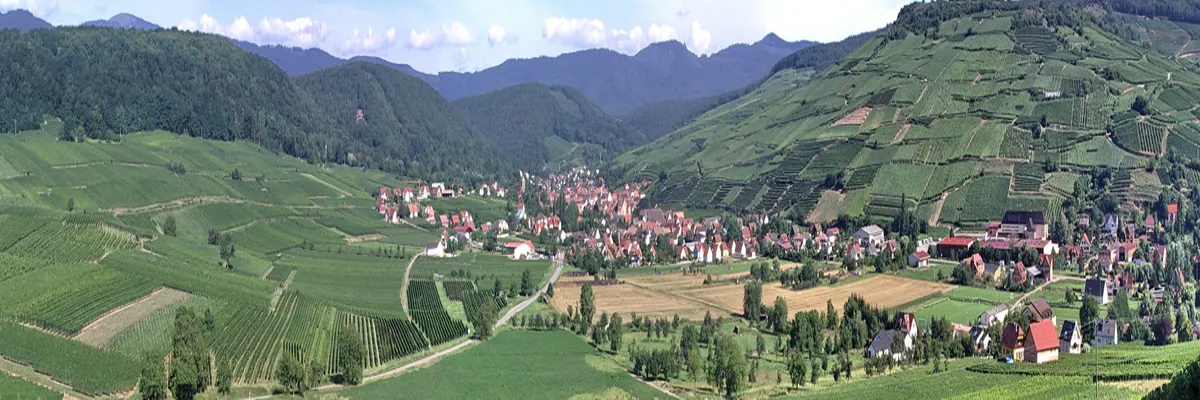 Image Rencontre femme cougar Grand Est