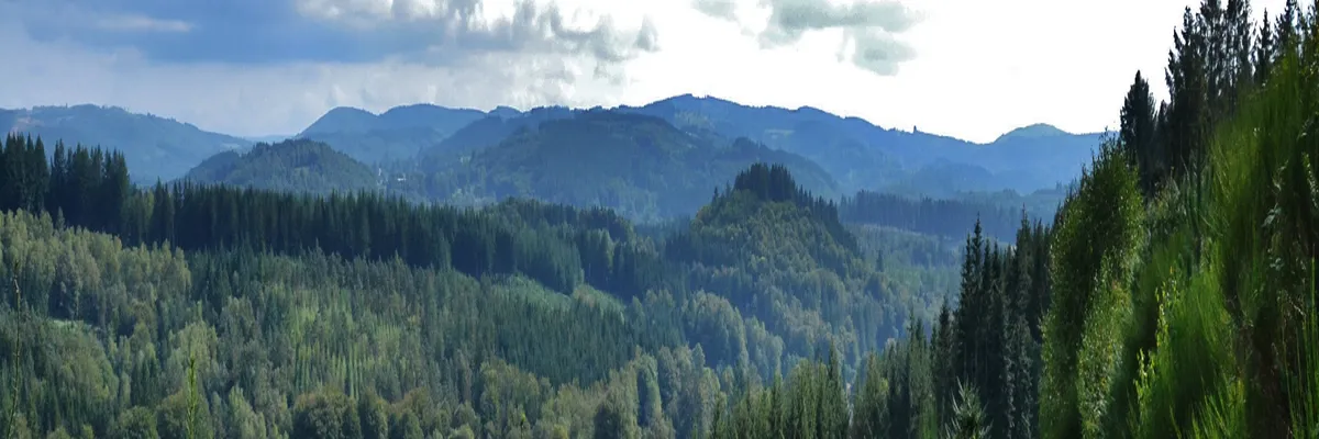 Image Rencontre femme cougar Haute-Vienne