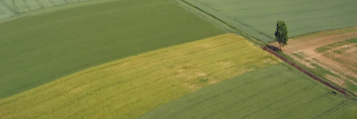 image-rencontre-femme-cougar-hauts-de-france.webp Image Rencontre femme cougar Hauts-de-France