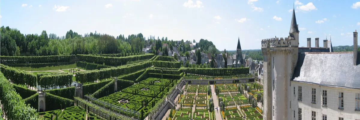 image-rencontre-femme-cougar-indre-et-loire.webp Image Rencontre femme cougar Indre-et-Loire