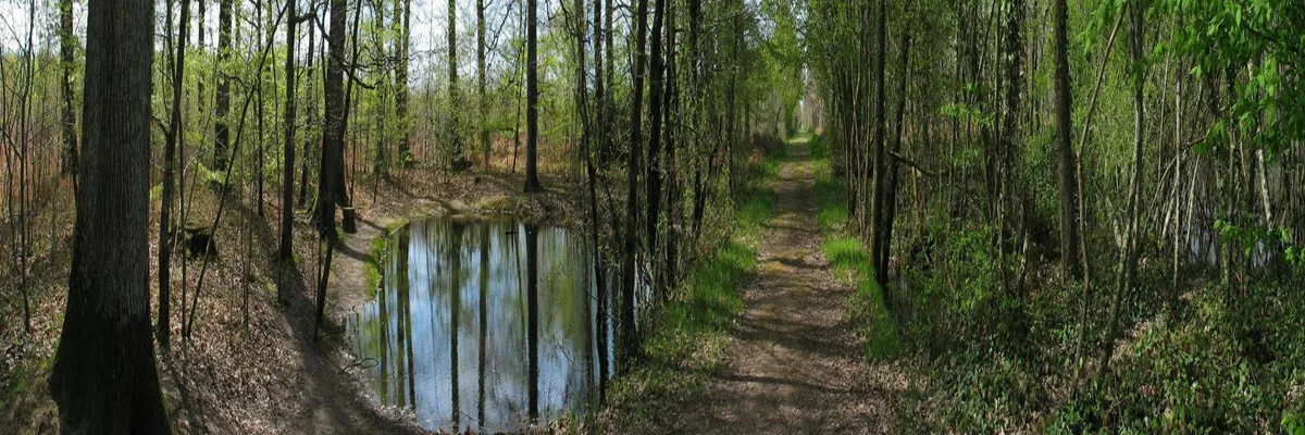 image-rencontre-femme-cougar-indre.webp Image Rencontre femme cougar Indre