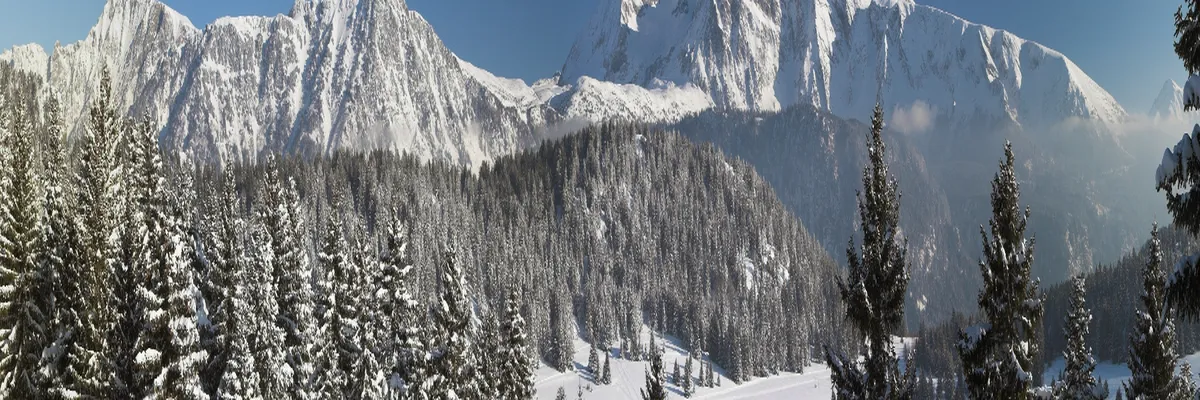 Image Rencontre femme cougar Isère