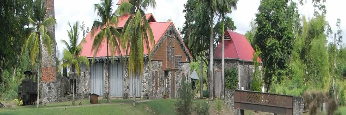 Image Rencontre femme cougar Martinique