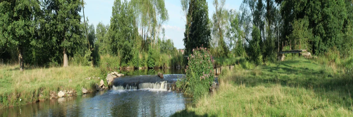 Image Rencontre femme cougar Meurthe-et-Moselle