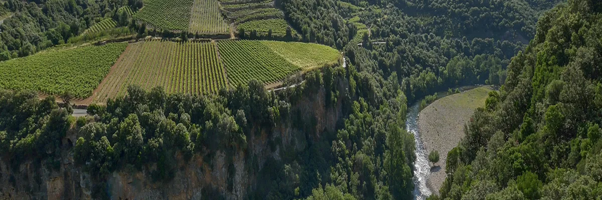 Image Rencontre femme cougar Occitanie