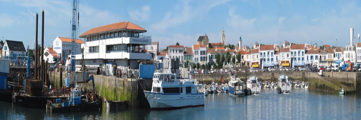 Image Rencontre femme cougar Pays de la Loire