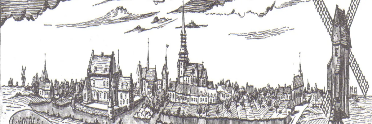 Image Rencontre femme cougar Roubaix