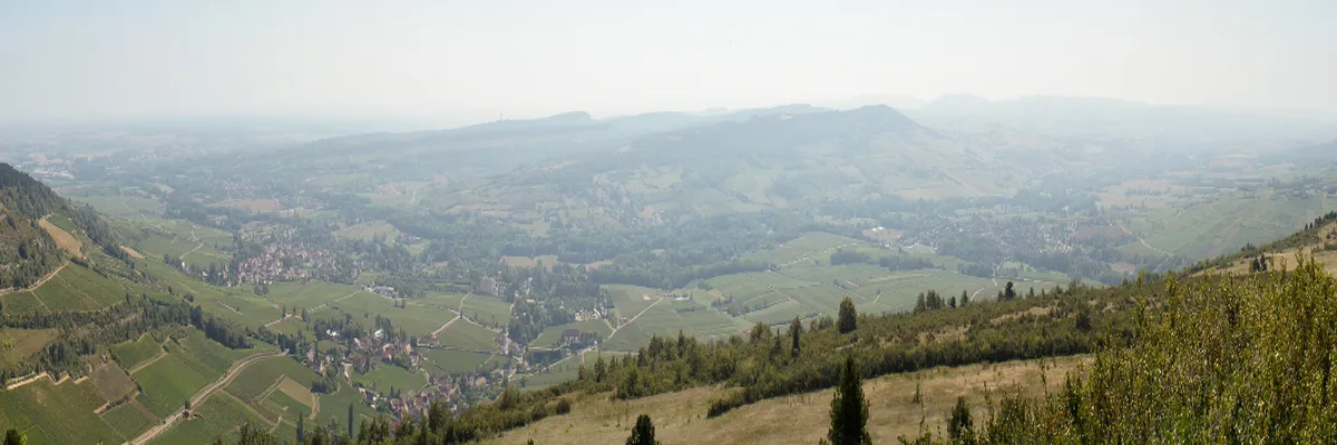 image-rencontre-femme-cougar-saone-et-loire.webp Image Rencontre femme cougar Saône-et-Loire