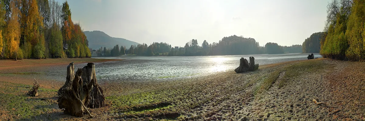 image-rencontre-femme-cougar-territoire-de-belfort.webp Image Rencontre femme cougar Territoire de Belfort