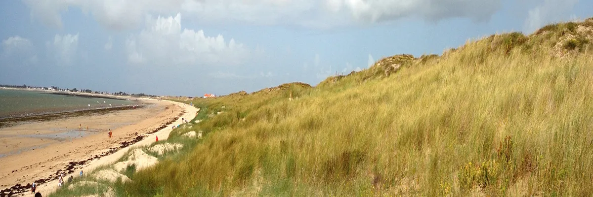 Image Rencontre femme cougar Vendée