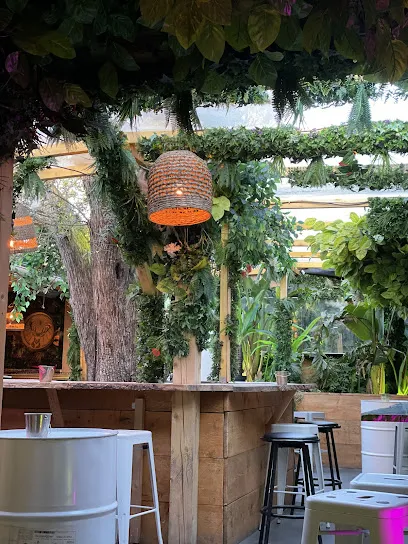 Image de Le Chat Laid