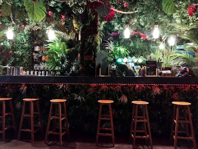 Image de Le jungle bar