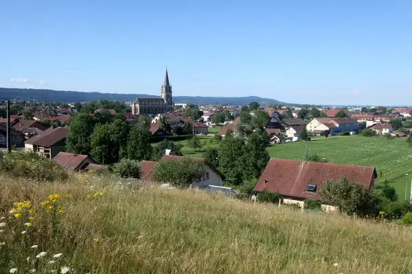 Les Cougars Rencontre femme cougar Doubs