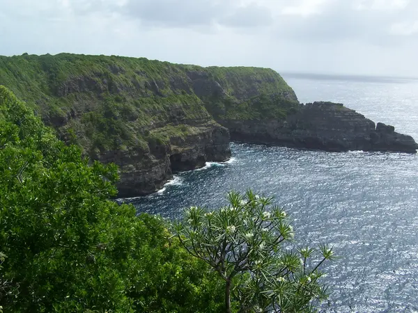 Les Cougars Rencontre femme cougar Guadeloupe