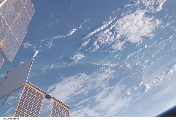 Les Cougars Rencontre femme cougar Guyane