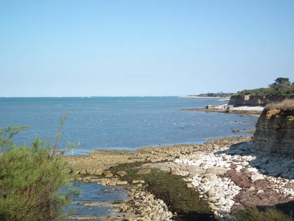 Les Cougars Rencontre femme cougar Nouvelle-Aquitaine