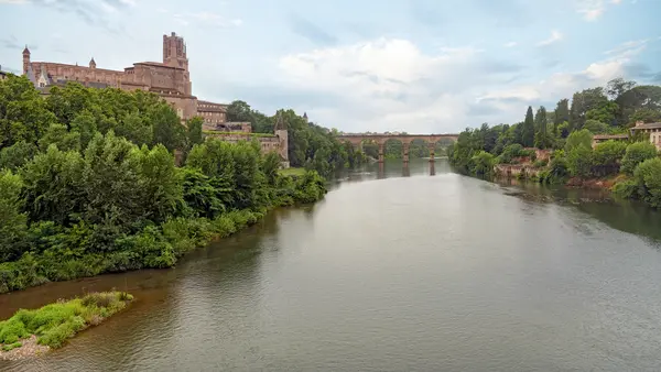 Les Cougars Rencontre femme cougar Tarn